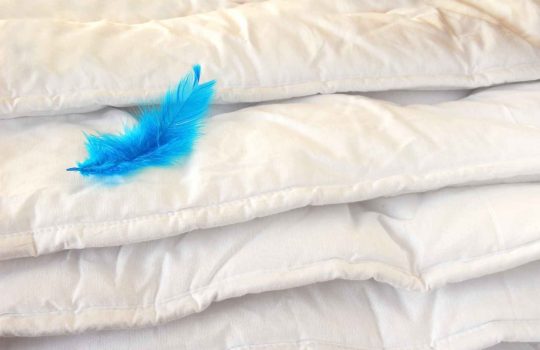 שמיכת פוך הכי נעים שיש2