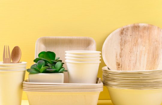 כלים חד פעמיים מתכלים2